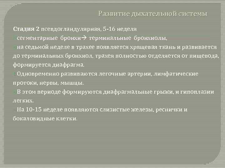 Развитие дыхательной системы Стадия 2 псевдогландулярная, 5 -16 неделя сегментарные бронхи терминальные бронхиолы, на