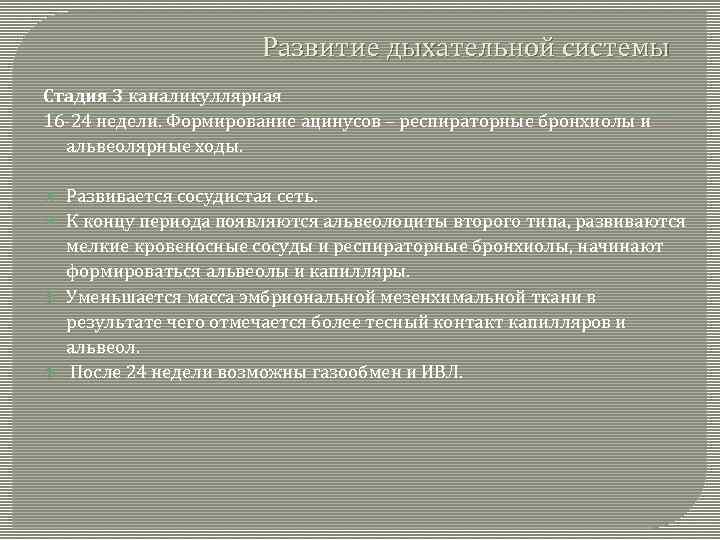 Развитие дыхательной системы Стадия 3 каналикуллярная 16 -24 недели. Формирование ацинусов – респираторные бронхиолы