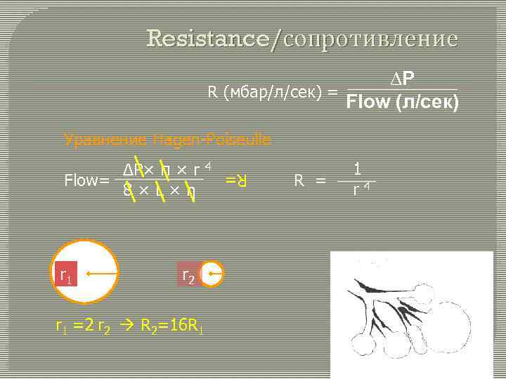 Resistance/сопротивление DP R (мбар/л/сек) = Flow (л/сек) Уравнение Hagen-Poiseulle r 1 R 4 r