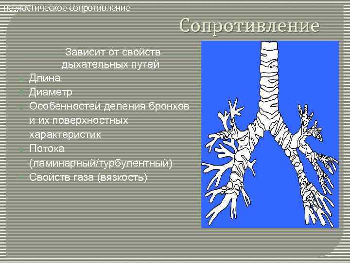 неэластическое сопротивление Сопротивление Зависит от свойств дыхательных путей Длина Диаметр Особенностей деления бронхов и