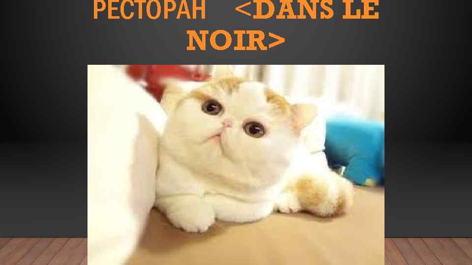 РЕСТОРАН <DANS LE NOIR> 