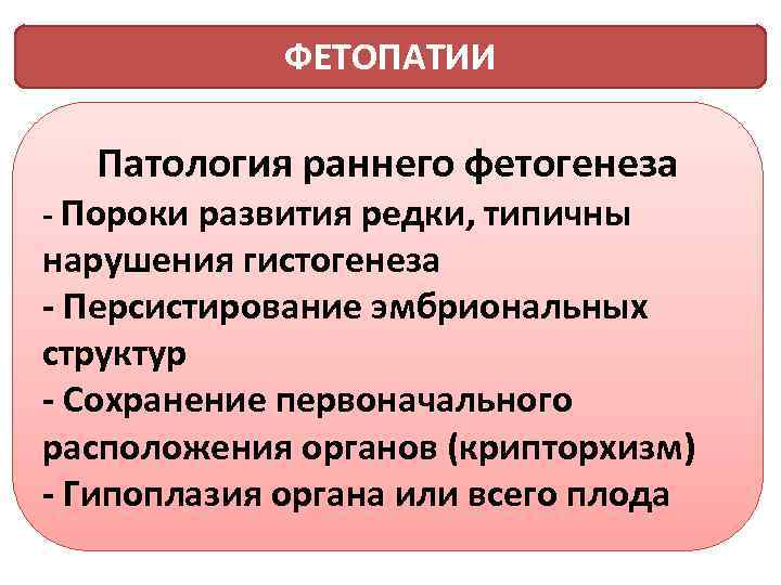 ФЕТОПАТИИ Патология раннего фетогенеза - Пороки развития редки, типичны нарушения гистогенеза - Персистирование эмбриональных