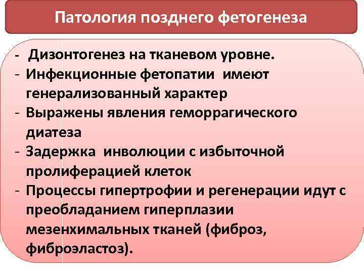 Патология позднего фетогенеза - Дизонтогенез на тканевом уровне. - Инфекционные фетопатии имеют генерализованный характер