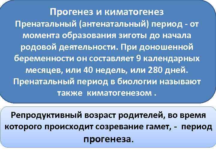 Прогенез и киматогенез Пренатальный (антенатальный) период - от момента образования зиготы до начала родовой