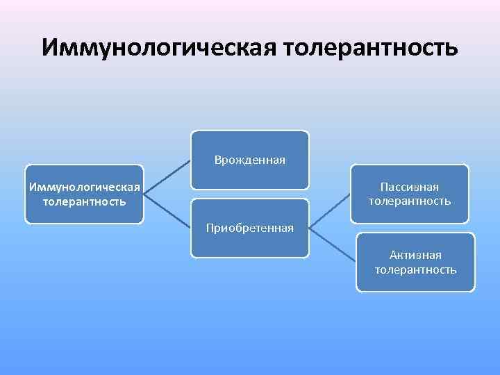 Иммунологическая толерантность Врожденная Пассивная толерантность Иммунологическая толерантность Приобретенная Активная толерантность 