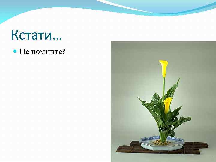 Кстати… Не помните? 