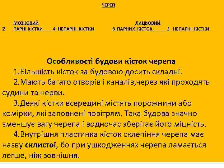 ЧЕРЕП 2 МОЗКОВИЙ ПАРНІ КІСТКИ 4 НЕПАРНІ КІСТКИ ЛИЦЬОВИЙ 6 ПАРНИХ КІСТОК 3 НЕПАРНІ