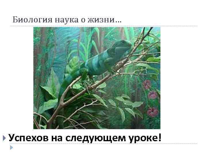 Биология наука о жизни… Успехов на следующем уроке! 