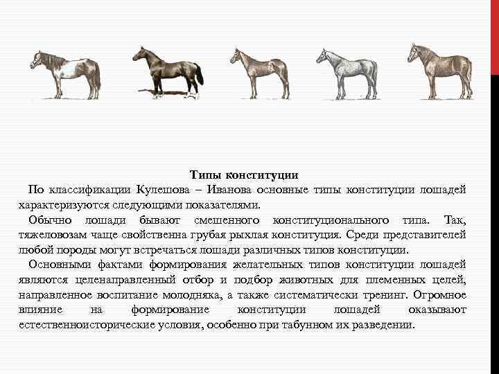 Типы конституции По классификации Кулешова – Иванова основные типы конституции лошадей характеризуются следующими показателями.