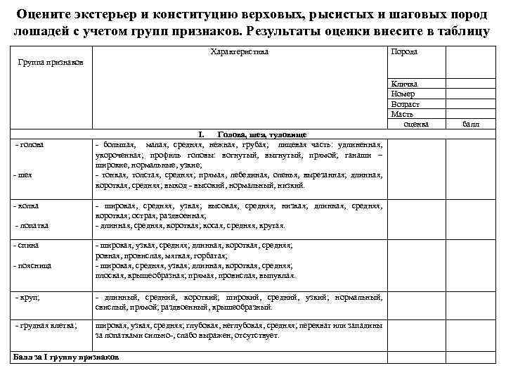 Оцените экстерьер и конституцию верховых, рысистых и шаговых пород лошадей с учетом групп признаков.