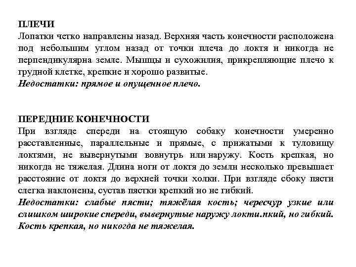 ПЛЕЧИ Лопатки четко направлены назад. Верхняя часть конечности расположена под небольшим углом назад от