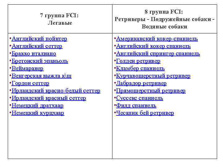 7 группа FCI: Легавые • Английский пойнтер • Английский сеттер • Бракко италиано •