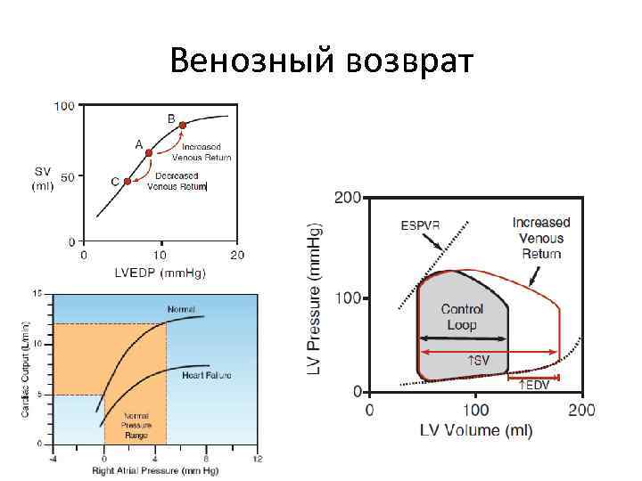 Венозный возврат 