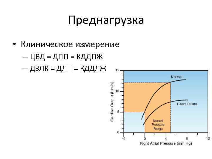 Преднагрузка • Клиническое измерение – ЦВД = ДПП = КДДПЖ – ДЗЛК = ДЛП