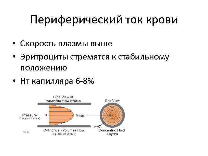 Периферический ток крови • Скорость плазмы выше • Эритроциты стремятся к стабильному положению •