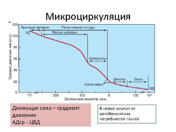 Микроциркуляция Движущая сила – градиент давления АДср - ЦВД В норме зависит от метаболических