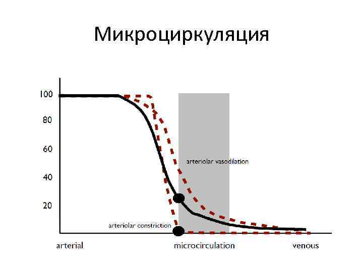 Микроциркуляция 