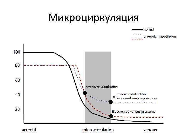 Микроциркуляция 