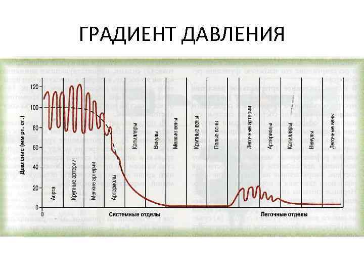 ГРАДИЕНТ ДАВЛЕНИЯ 