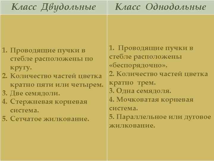 Класс Двудольные Класс Однодольные 1. Проводящие пучки в стебле расположены по кругу. 2. Количество