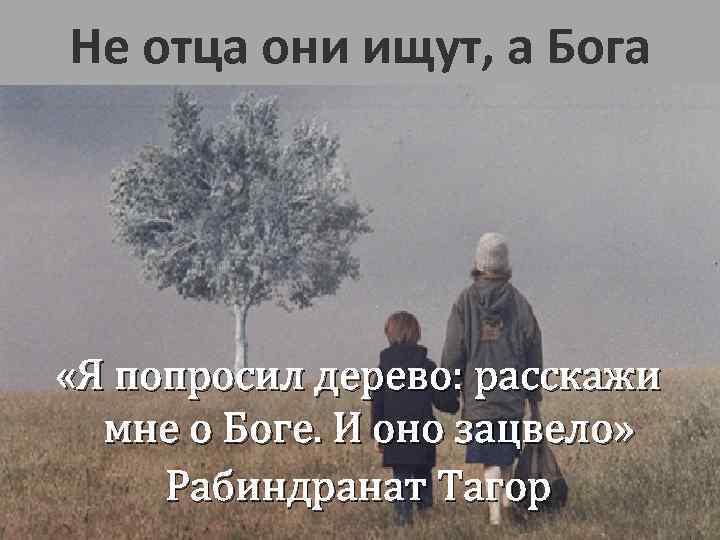 Не отца они ищут, а Бога «Я попросил дерево: расскажи мне о Боге. И