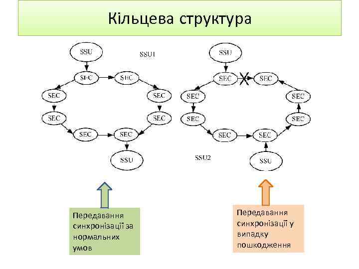 Кільцева структура Передавання синхронізації за нормальних умов Передавання синхронізації у випадку пошкодження 