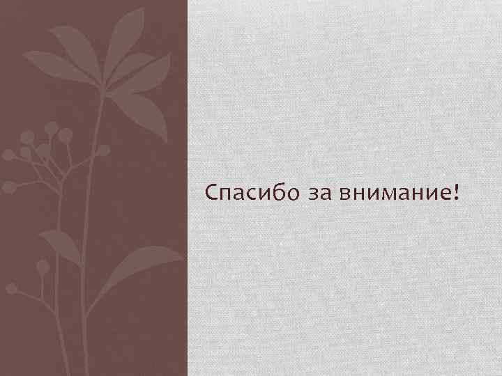 Спасибо за внимание! 