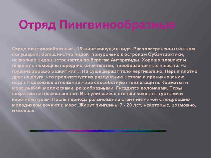 Отряд Пингвинообразные Отряд пингвинообразные - 16 ныне живущих вида. Распространены в южном полушарии; большинство