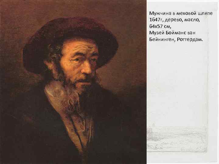 Мужчина в меховой шляпе 1647 г, дерево, масло, 64 x 57 см, Музей Бойманс