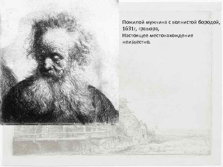 Пожилой мужчина с волнистой бородой, 1631 г, гравюра, Настоящее местонахождение неизвестно. 