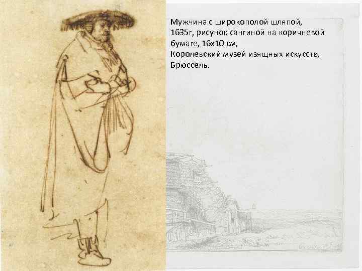 Мужчина с широкополой шляпой, 1635 г, рисунок сангиной на коричневой бумаге, 16 х10 см,