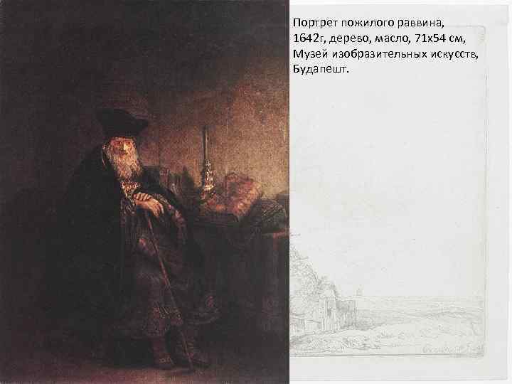 Портрет пожилого раввина, 1642 г, дерево, масло, 71 х54 см, Музей изобразительных искусств, Будапешт.