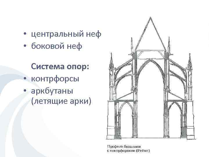  • центральный неф • боковой неф Система опор: • контрфорсы • аркбутаны (летящие