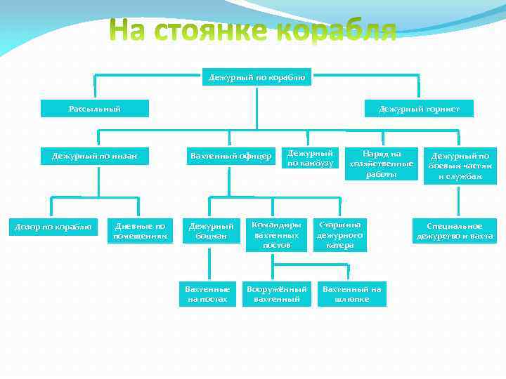 Должности на корабле. Схема корабельной организации. Должности на корабле по порядку и их обязанности. Дежурный по кораблю обязанности. Кто кому подчиняется на судне.