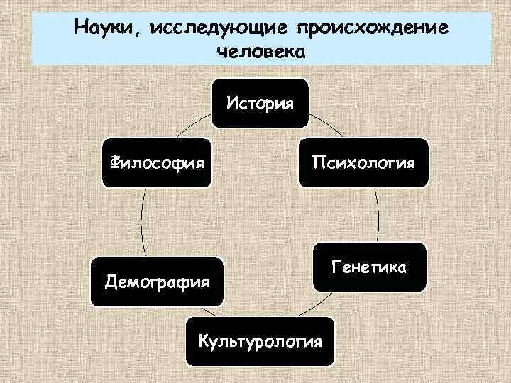 Науки, исследующие происхождение человека История Философия Психология Демография Культурология Генетика 