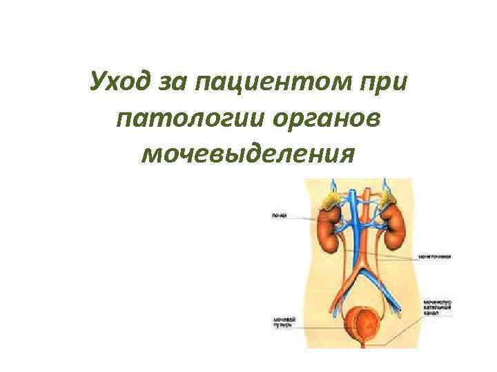 Уход за пациентом при патологии органов мочевыделения 