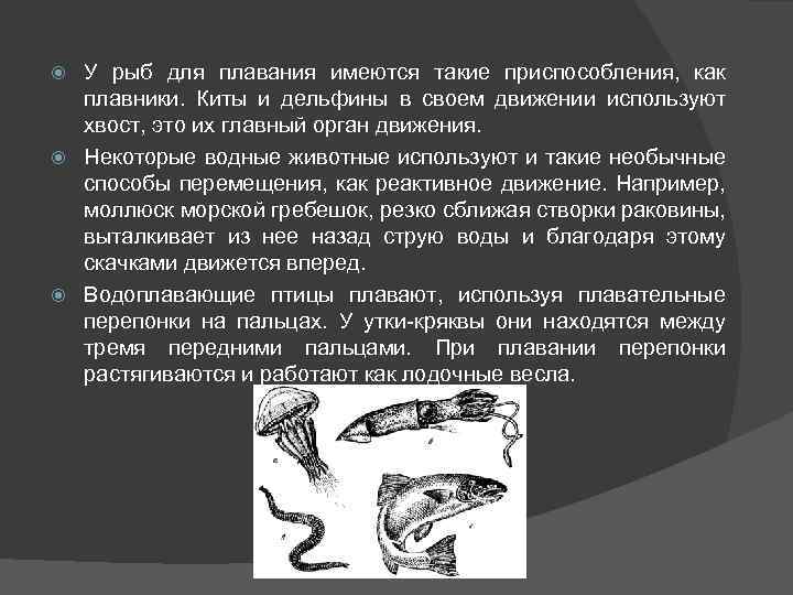 У рыб для плавания имеются такие приспособления, как плавники. Киты и дельфины в своем