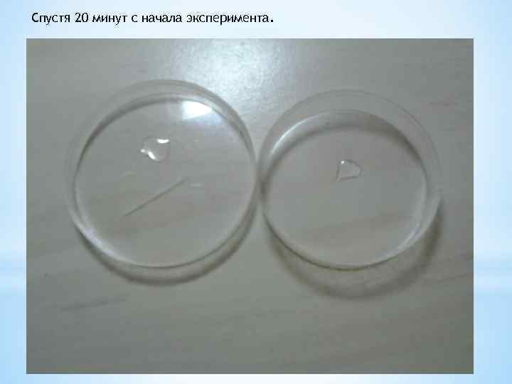 Спустя 20 минут с начала эксперимента. 