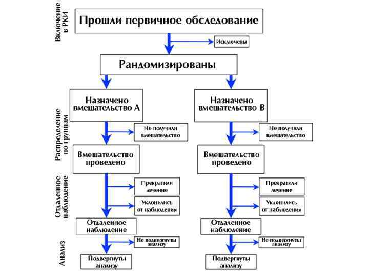 Схема рандомизированного плацебо контролируемого экспериментального полевого исследования