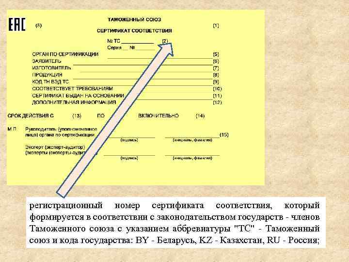 В соответствии с указанным документом