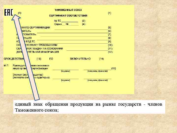 единый знак обращения продукции на рынке государств - членов Таможенного союза; 