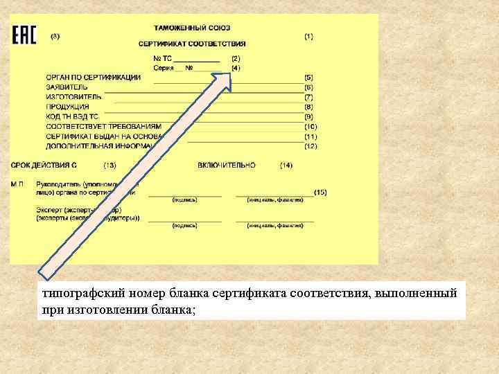 типографский номер бланка сертификата соответствия, выполненный при изготовлении бланка; 
