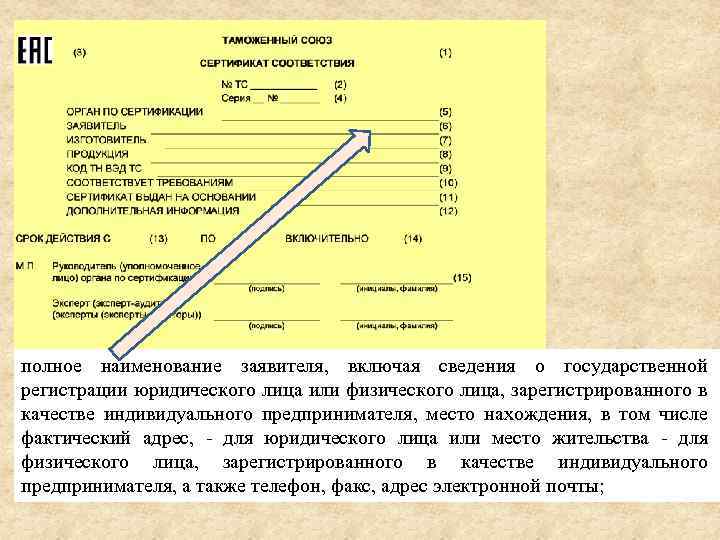 полное наименование заявителя, включая сведения о государственной регистрации юридического лица или физического лица, зарегистрированного
