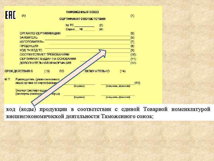 код (коды) продукции в соответствии с единой Товарной номенклатурой внешнеэкономической деятельности Таможенного союза; 