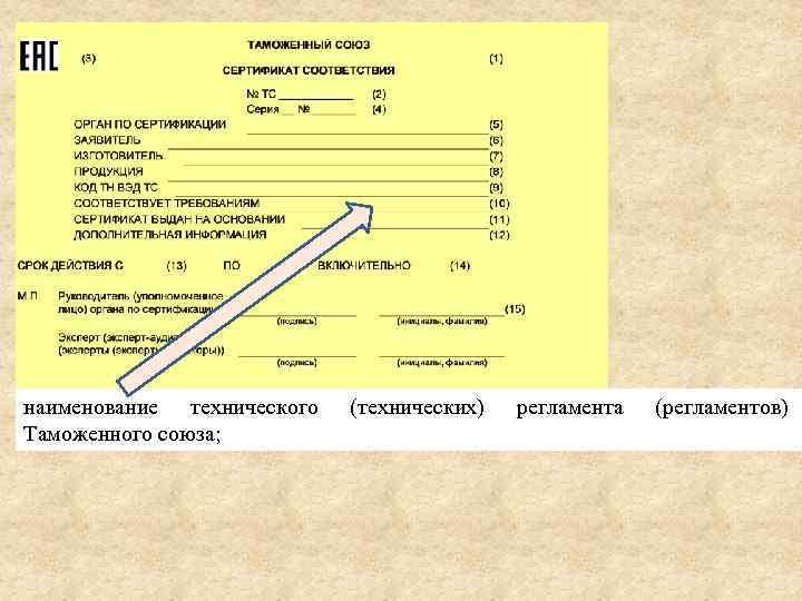 наименование технического Таможенного союза; (технических) регламента (регламентов) 