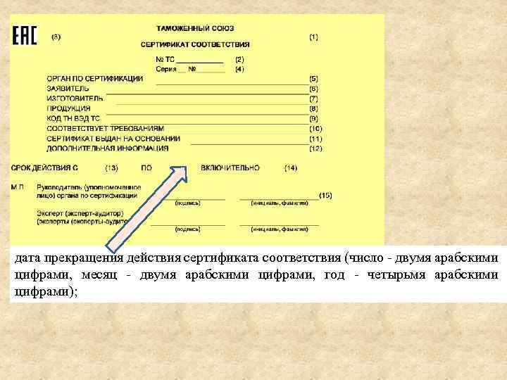 дата прекращения действия сертификата соответствия (число - двумя арабскими цифрами, месяц - двумя арабскими