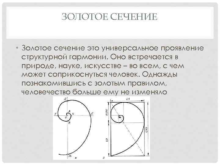 Золотое сечение в рисунке правило