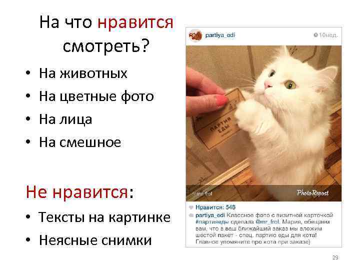 На что нравится смотреть? • • На животных На цветные фото На лица На