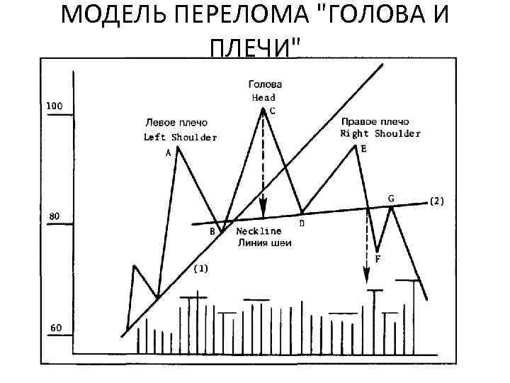 МОДЕЛЬ ПЕРЕЛОМА 