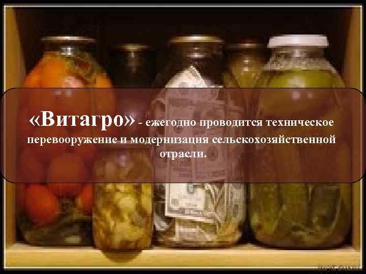  «Витагро» - ежегодно проводится техническое перевооружение и модернизация сельскохозяйственной отрасли. 